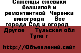 Саженцы ежевики безшипой и ремонтантной. Черенки винограда . - Все города Сад и огород » Другое   . Тульская обл.,Тула г.